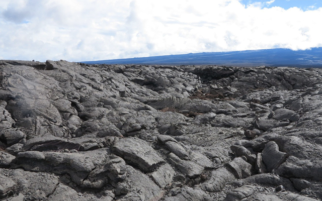 世界遺産キラウエア火山とマウナケア山麓星のツアー ハワイ島 詳細 Jtbハワイオプショナルツアー