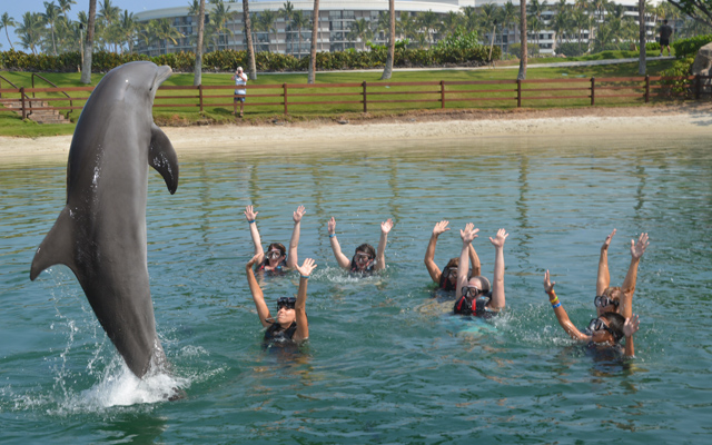 ドルフィン・クエスト・エンカウンター・デラックス