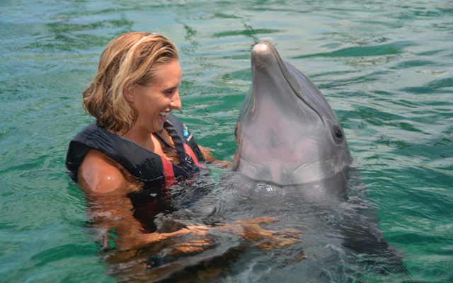 ドルフィン・クエスト・エンカウンター・デラックス