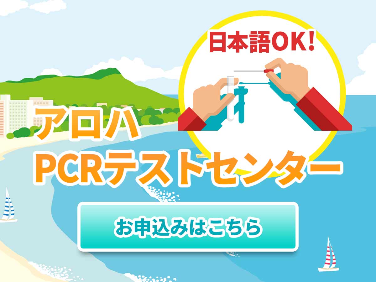 お得で安心なオプショナルツアーならjtbハワイ Jtbハワイオプショナルツアー