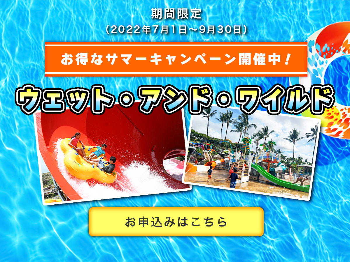 お得で安心なオプショナルツアーならjtbハワイ Jtbハワイオプショナルツアー