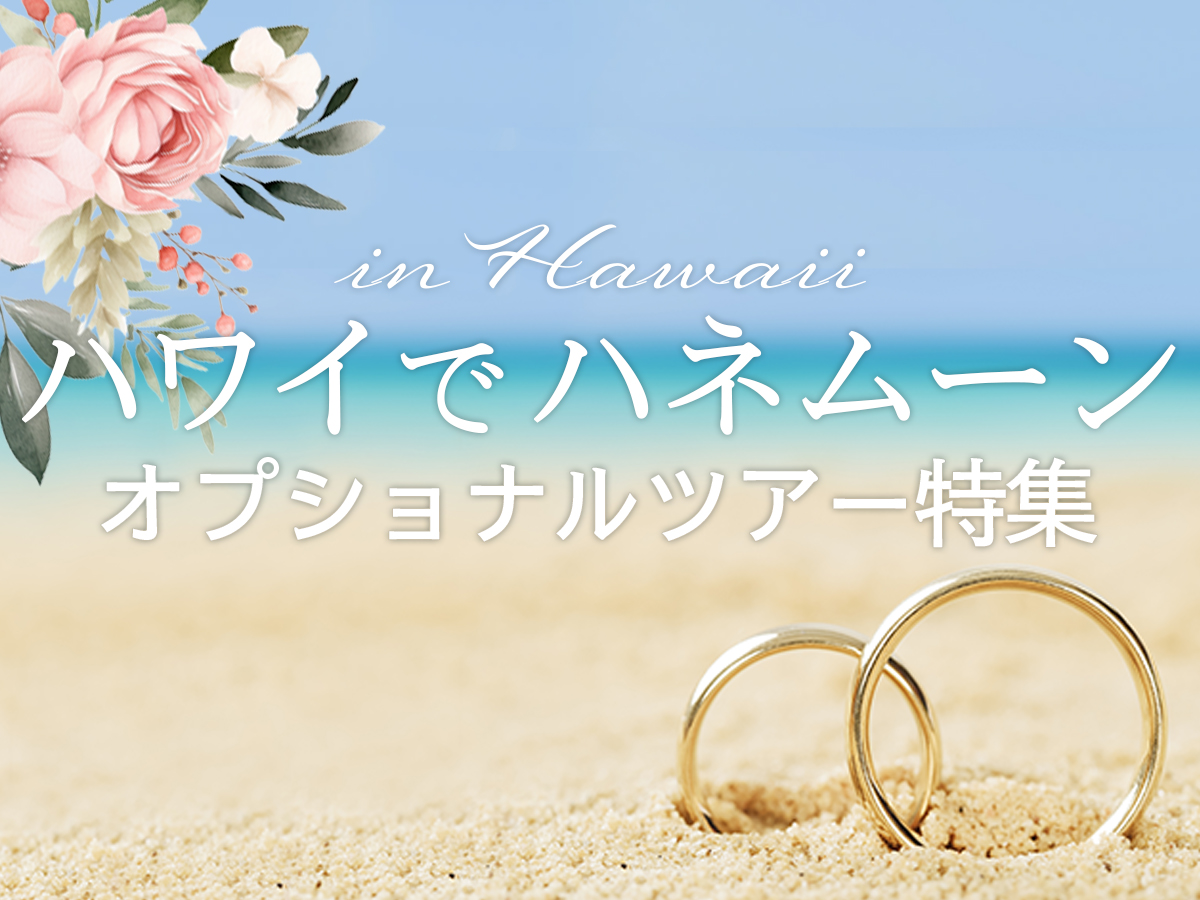 お得で安心なオプショナルツアーならJTBハワイ | JTBハワイ