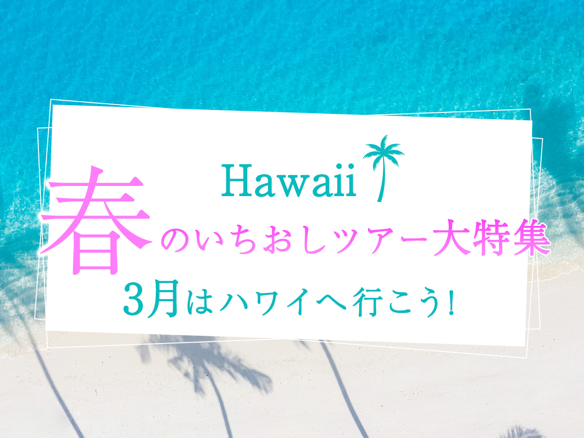 お得で安心なオプショナルツアーならJTBハワイ | JTBハワイ