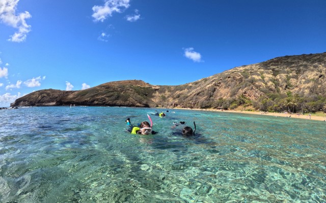 ハナウマ湾シュノーケル