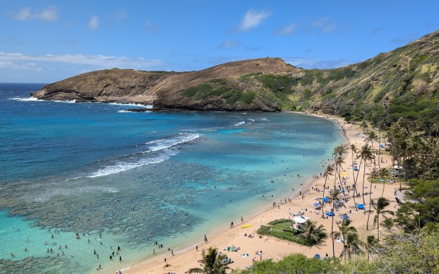 ハナウマ湾シュノーケル 午前/午後