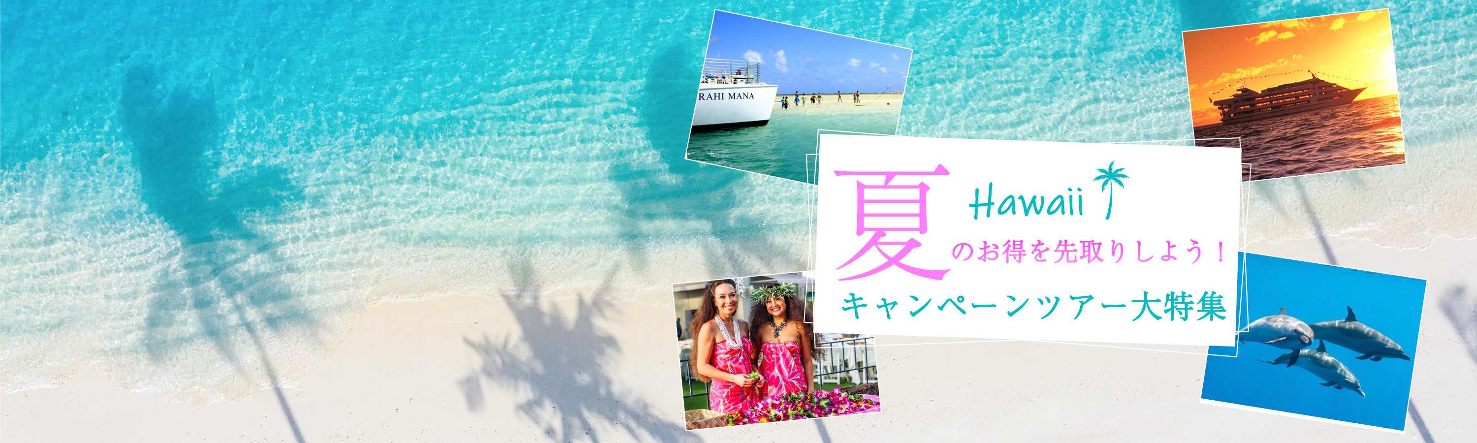 HIOP_初夏2025_3000_900.jpg