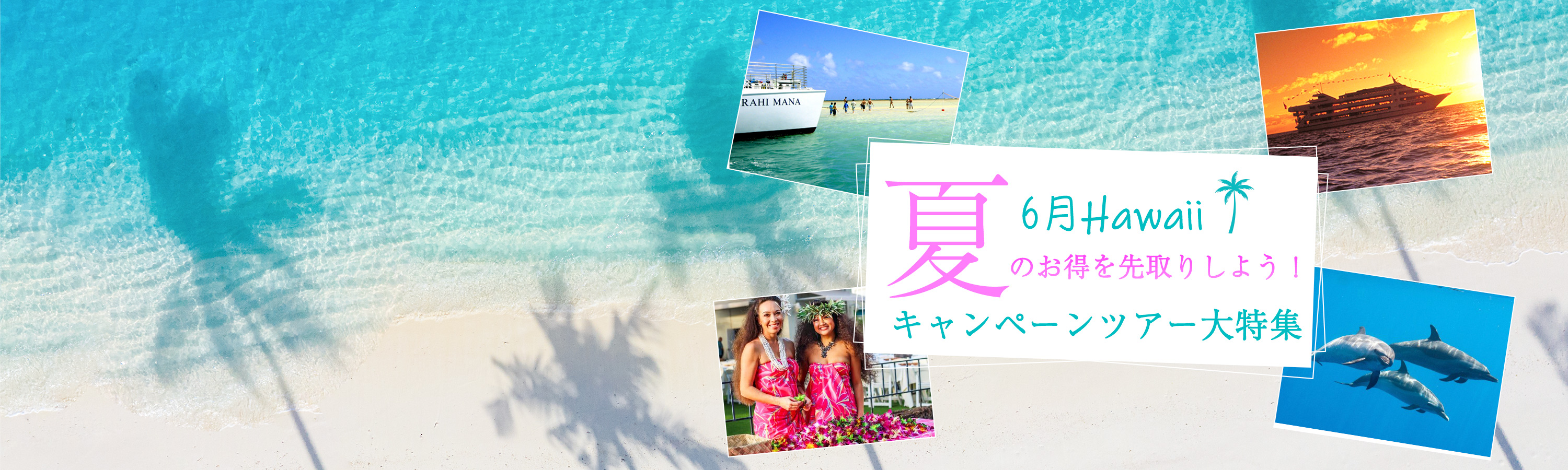 HIOP_初夏2025_3000_900-2.jpg