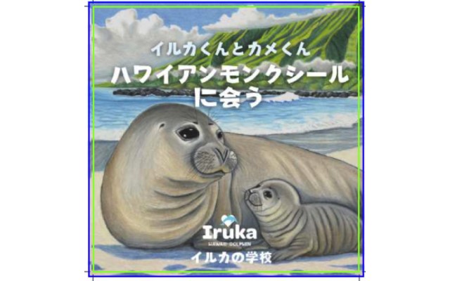 サマーキャンペーン