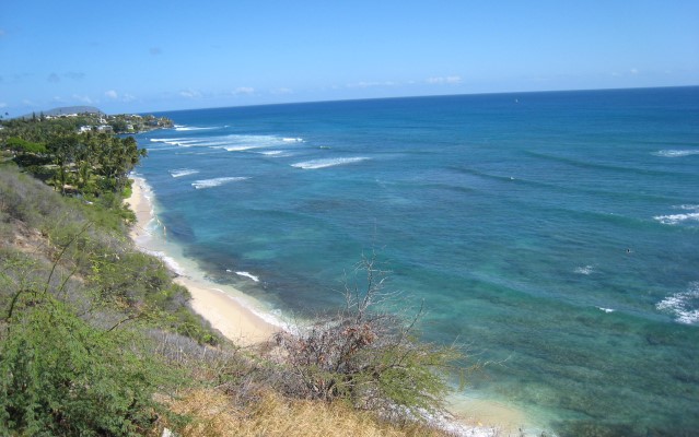 ダイヤモンドヘッド・ルックアウト(月・火のみ)