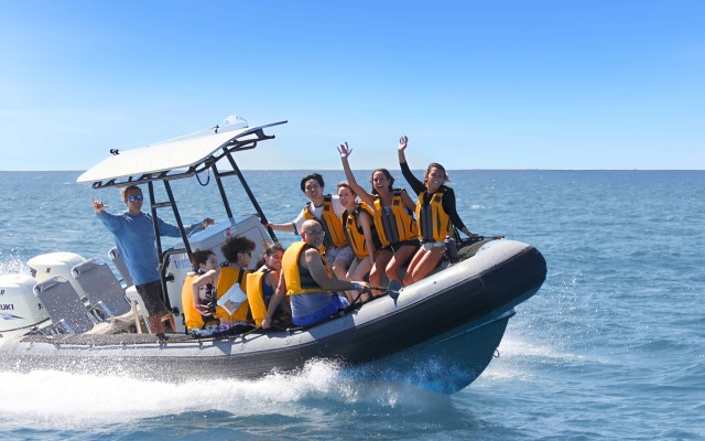 小型モーターボートでの無料遊覧ツアー