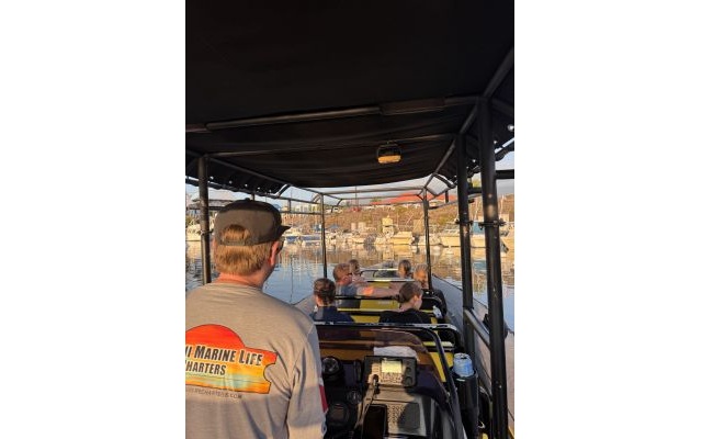 ハワイ島冬の魅力を大凝縮　クジラと夕日と星空観測ツアー