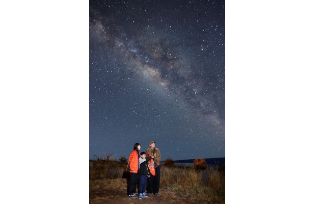 ハワイ島冬の魅力を大凝縮　クジラと夕日と星空観測ツアー