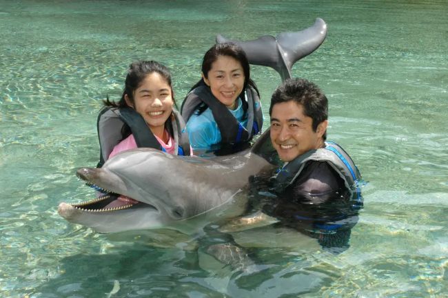 ドルフィン・クエスト・ファミリー＆フレンズ（貸切り）