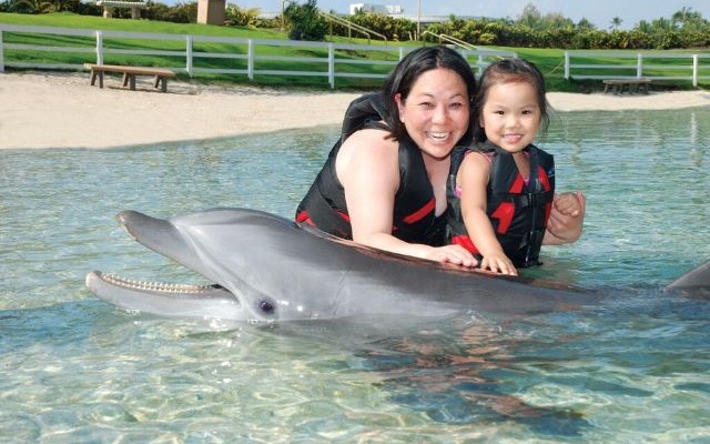 ドルフィン・クエスト・ウィートッツ