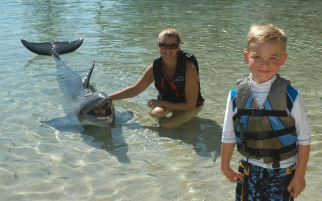 ドルフィン・クエスト・ウィートッツ