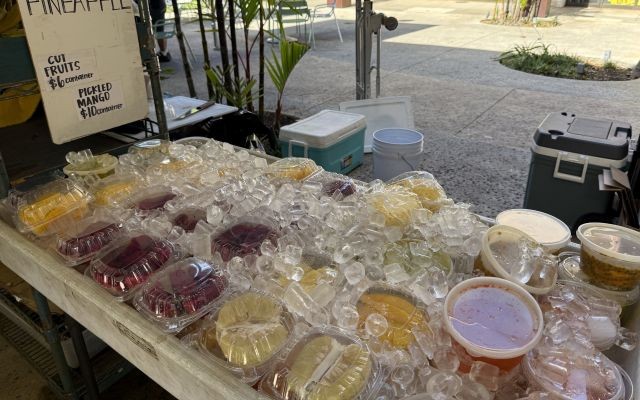 マノア散策とタンタラス＆ダウンタウンを巡る半日観光