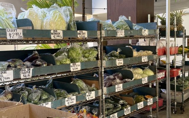 マノア散策とタンタラス＆ダウンタウンを巡る半日観光