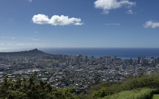 マノア散策とタンタラス＆ダウンタウンを巡る半日観光