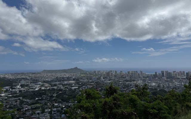 マノア散策とタンタラス&ダウンタウンを巡る半日観光