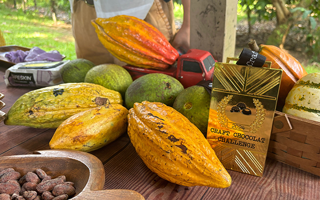 「ハワイ州観光局監修」ハワイの魅力をもっと！カカオ農園見学とチョコレートテイスティングツアー カイルア散策付き by 'OLI'OLIハワイ　※チップ込み