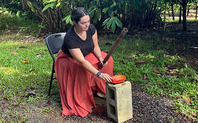 「ハワイ州観光局監修」ハワイの魅力をもっと！カカオ農園見学とチョコレートテイスティングツアー カイルア散策付き by 'OLI'OLIハワイ