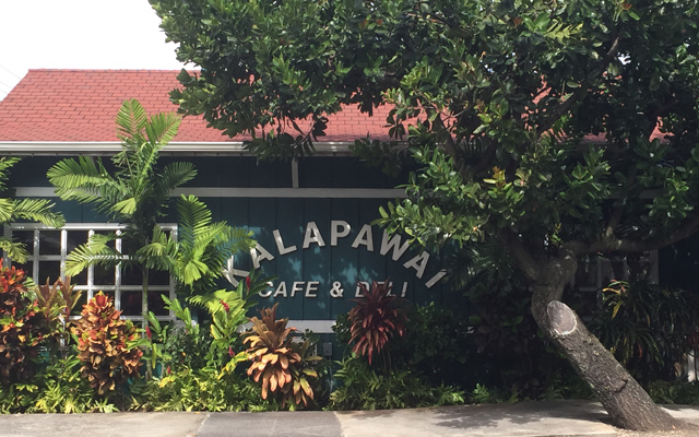 「ハワイ州観光局監修」ハワイの魅力をもっと！カカオ農園見学とチョコレートテイスティングツアー カイルア散策付き by 'OLI'OLIハワイ