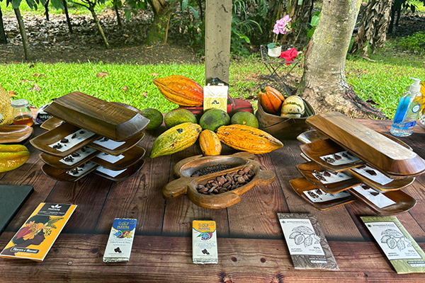 「ハワイ州観光局監修」ハワイの魅力をもっと！カカオ農園見学とチョコレートテイスティングツアー カイルア散策付き by 'OLI'OLIハワイ