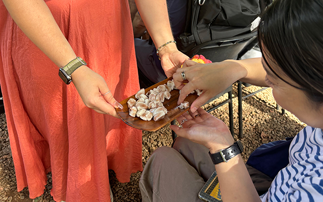 「ハワイ州観光局監修」ハワイの魅力をもっと！カカオ農園見学とチョコレートテイスティングツアー カイルア散策付き by 'OLI'OLIハワイ