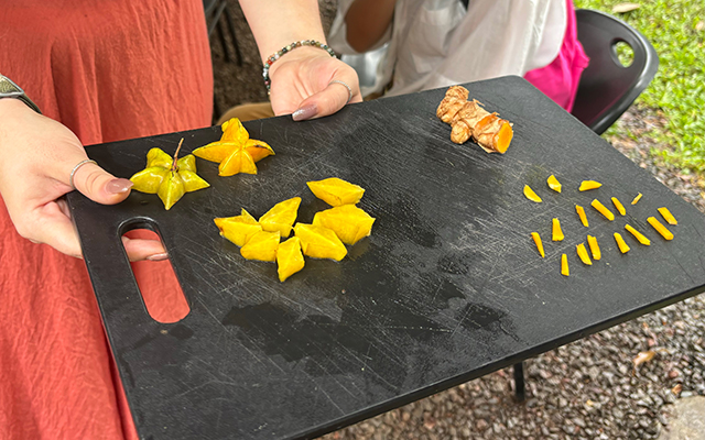 「ハワイ州観光局監修」ハワイの魅力をもっと！カカオ農園見学とチョコレートテイスティングツアー カイルア散策付き by 'OLI'OLIハワイ