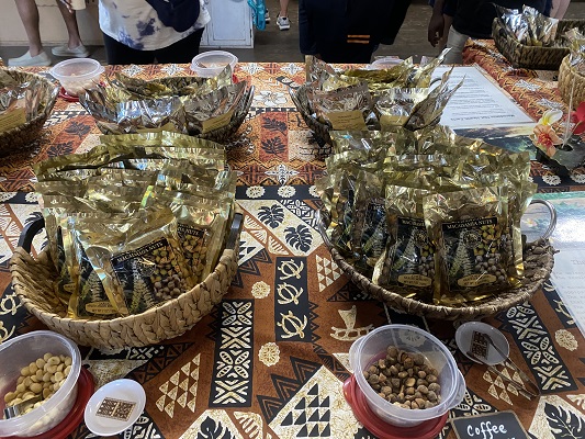 【ʻOLIʻOLIハワイ限定！】オアフ島一周よくばり観光