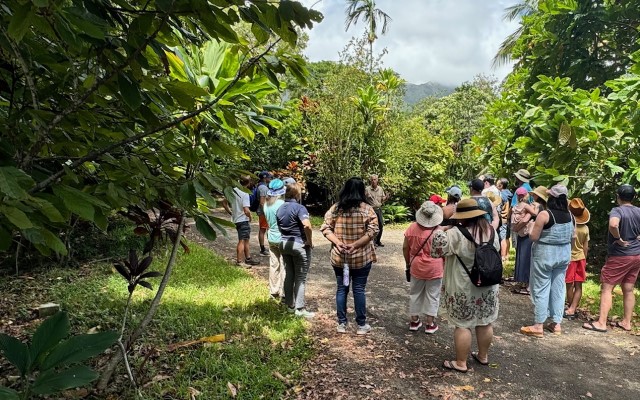 「ハワイ州観光局監修」ハワイの魅力をもっと！カカオ農園見学とチョコレートテイスティングツアー カイルア散策付き by 'OLI'OLIハワイ