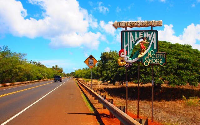 【ʻOLIʻOLIハワイ限定！】オアフ島一周よくばり観光