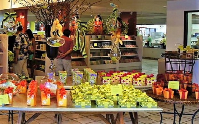 北回りで行くキラウェア火山・星空キラキラツアー