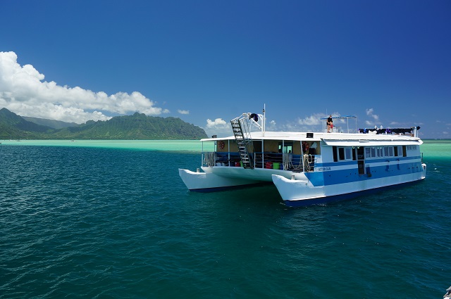 サンドバー・アドベンチャー　バナナボート＆バンパーチューブ付き