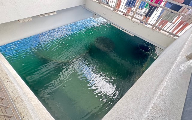 パールハーバー・デラックス・ツアー