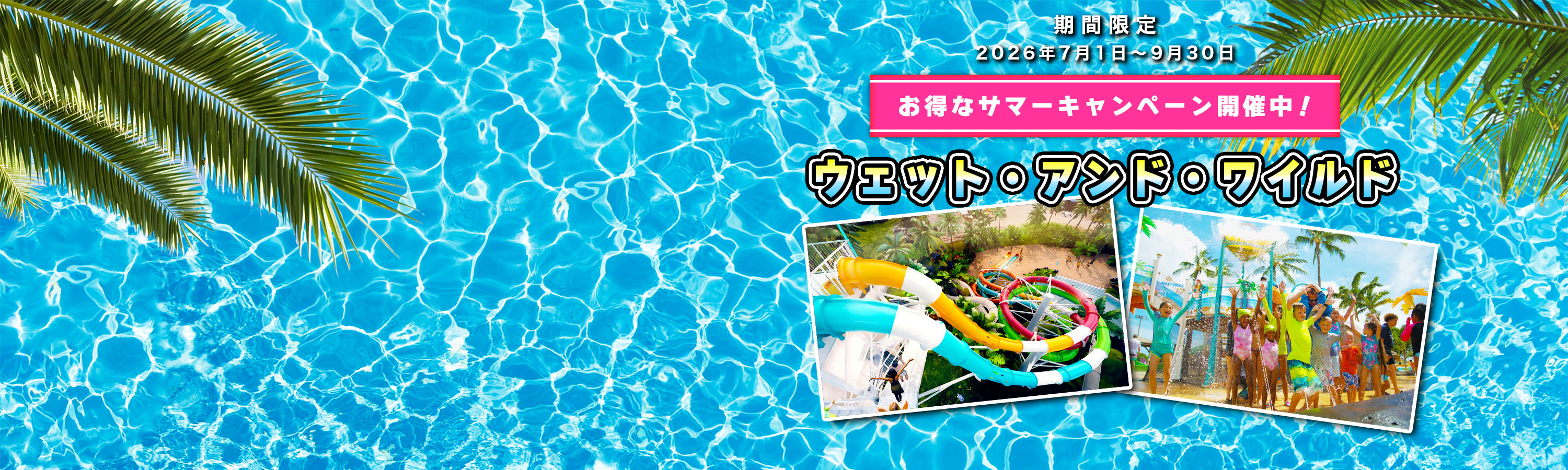 hiop_banner_home_wnw_pc2026.jpg